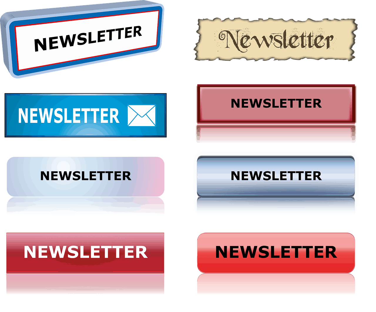 newsletter 1