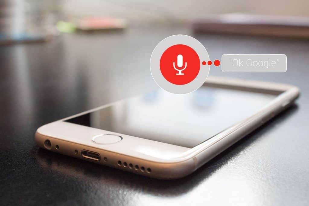 voice search 2