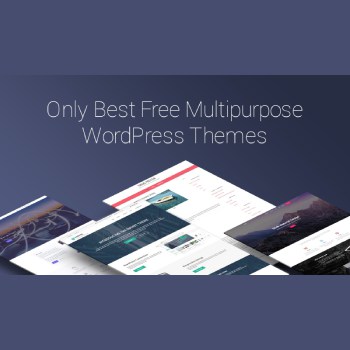 MultiPurpose Responsive WordPress Theme
