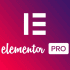 elementor pro