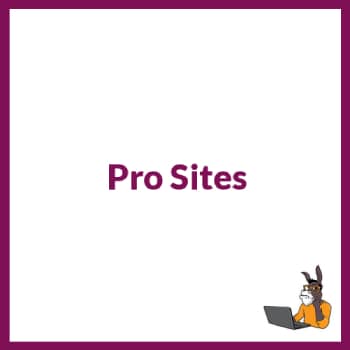 Pro Sites