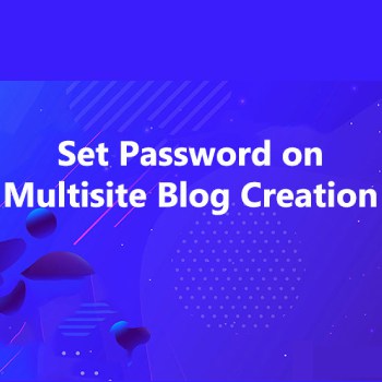 Set Password on Multisite Blog Creation