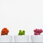 website design importance